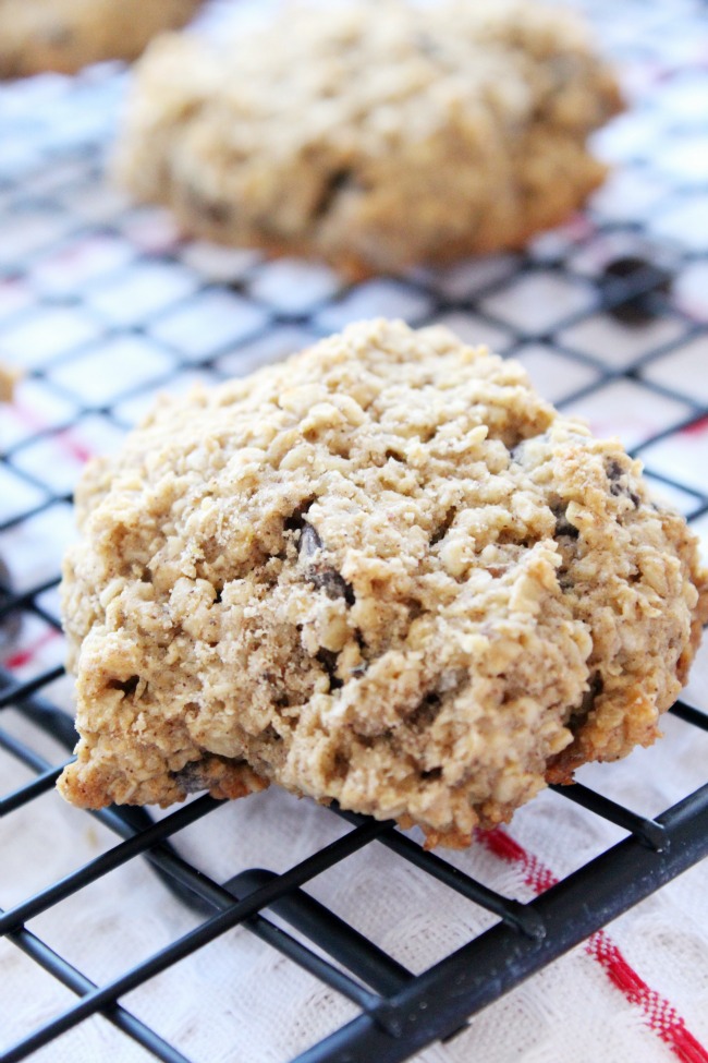 Oatmeal Chocolate-Chip (and Bean!) Cookies Gluten-Free