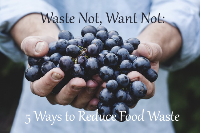 Waster Not, Want Not 5 Ways To Reduce Food Waste