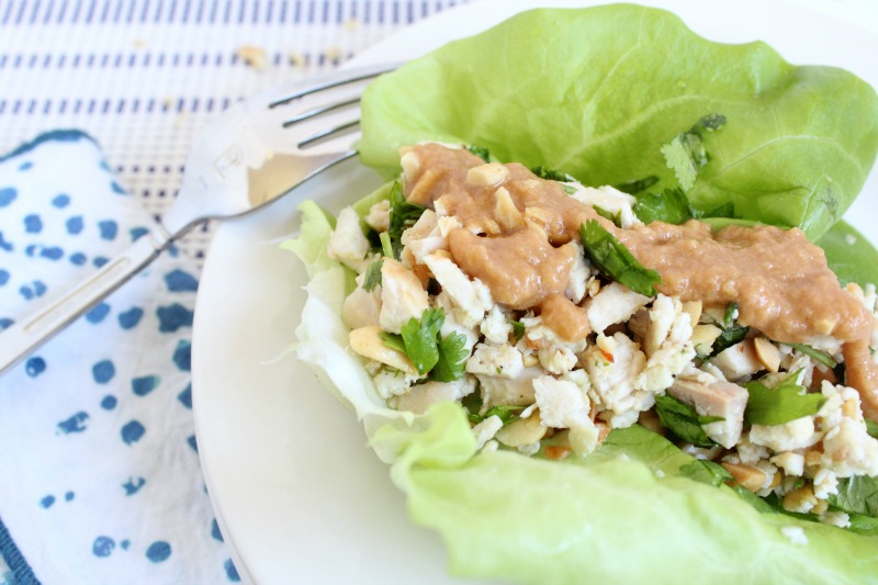 Chicken Lettuce Wraps with Spicy Peanut Sauce