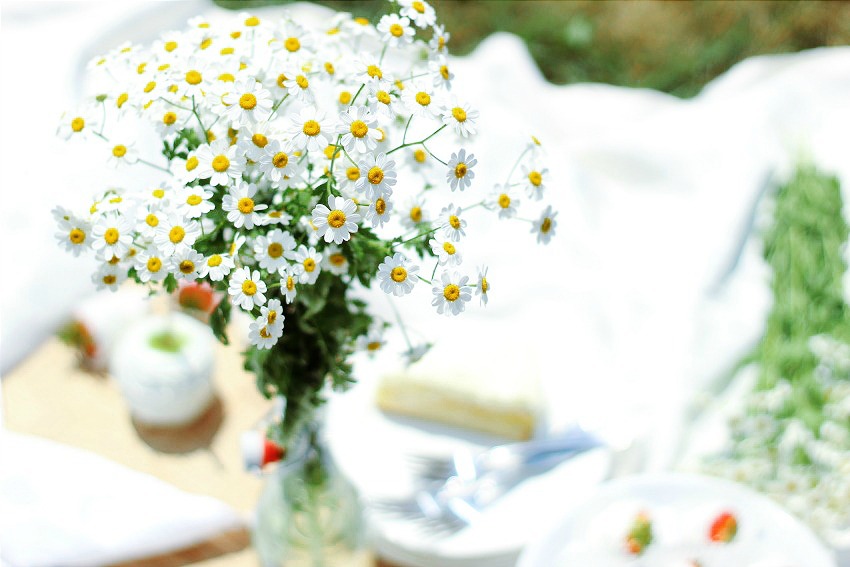 Diner En Blanc - White Dinner Ottawa bestofthislife.com