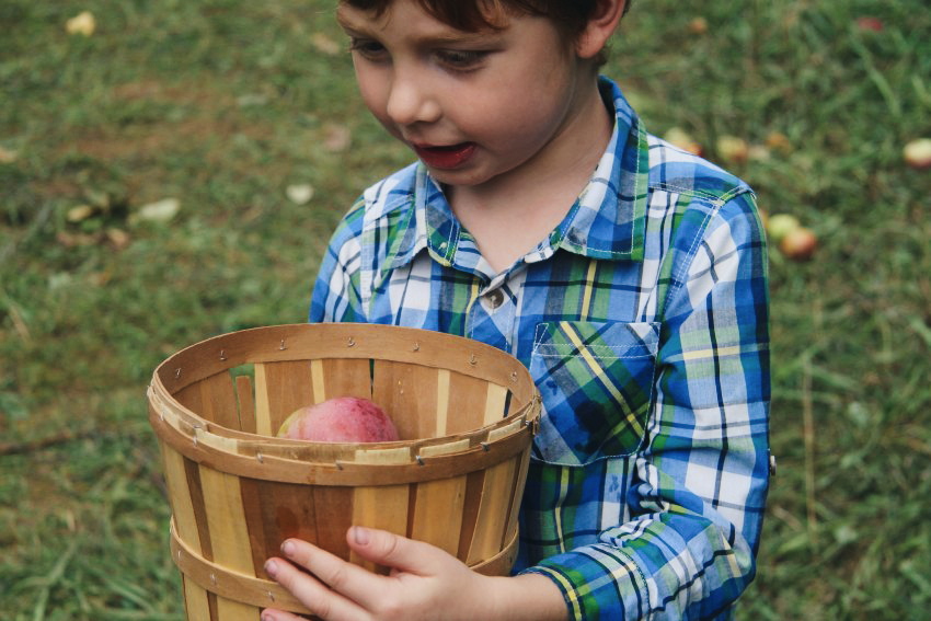 Every Fall We Go Apple Picking and This Is Why