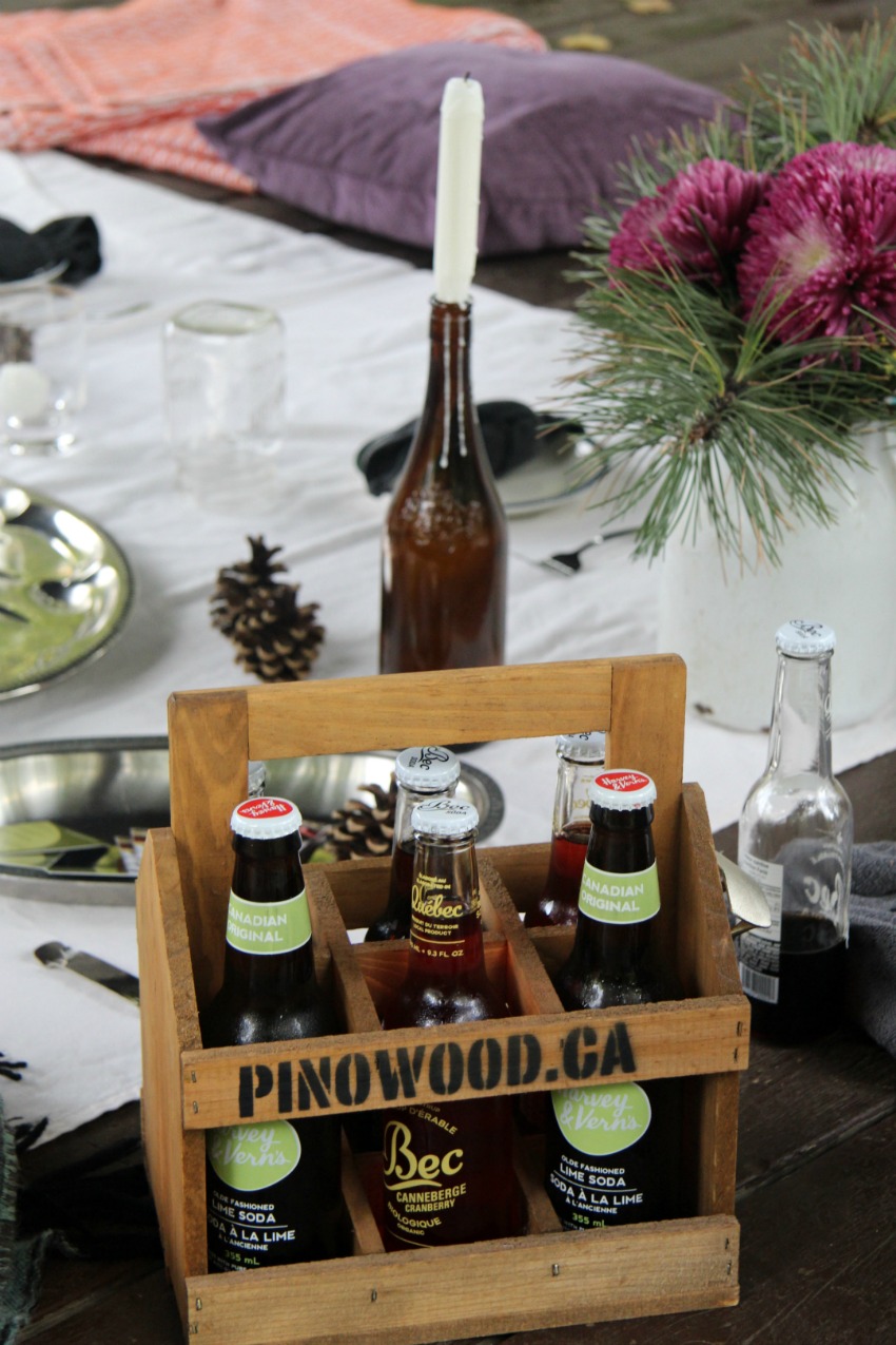 How to Plan A Rustic Picnic in Old Aylmer-Gatineau 
