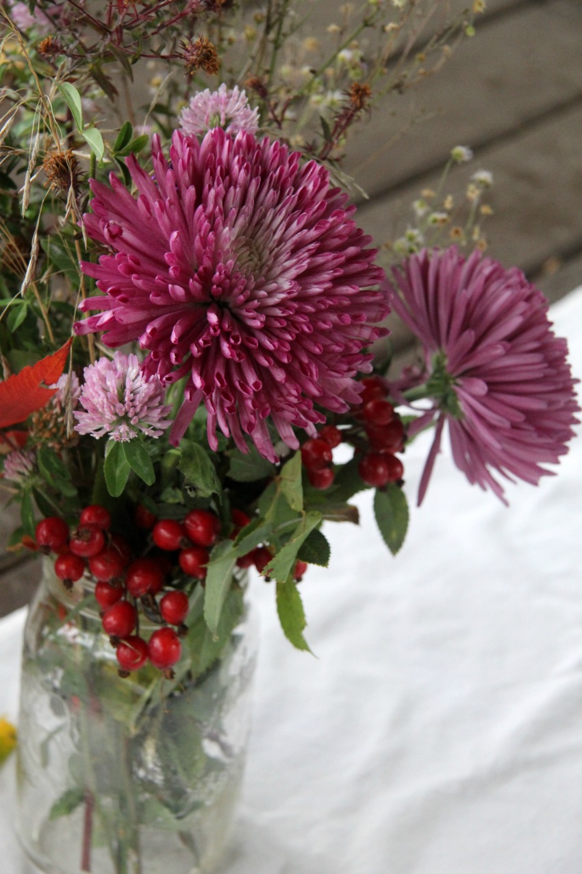 How to Plan A Rustic Picnic in Old Aylmer-Gatineau 