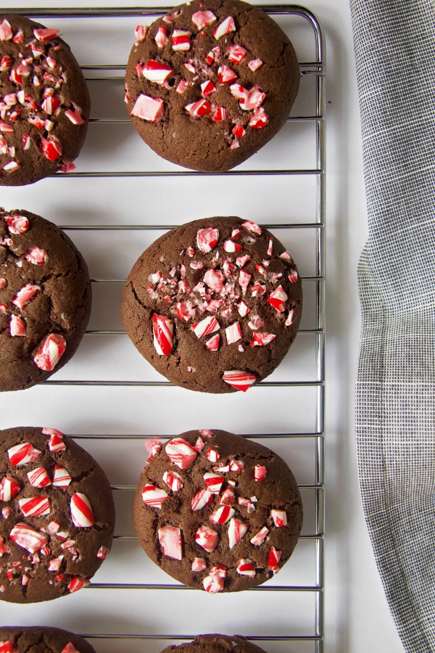 Gluten-Free Chocolate Candy Cane Cookies