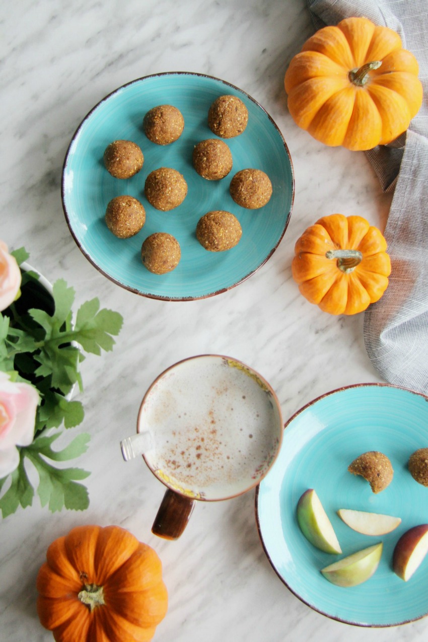 Healthy Pumpkin Pie Energy Bites