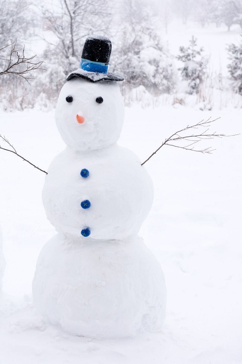 Free Activities to Do on a Snow Day at Home