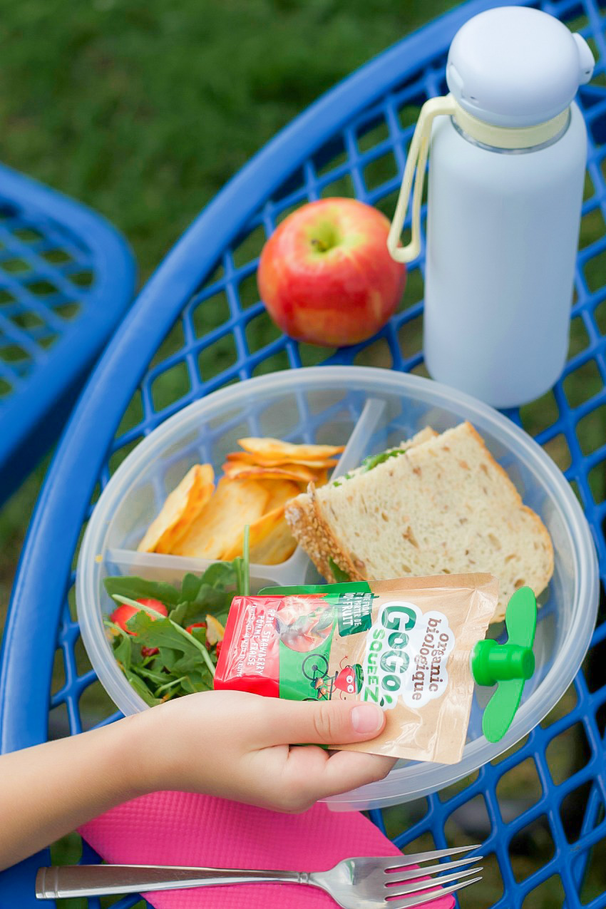 GoGo squeeZ Fruit Pouches: A Wholesome On-The-Go Snack for Kids