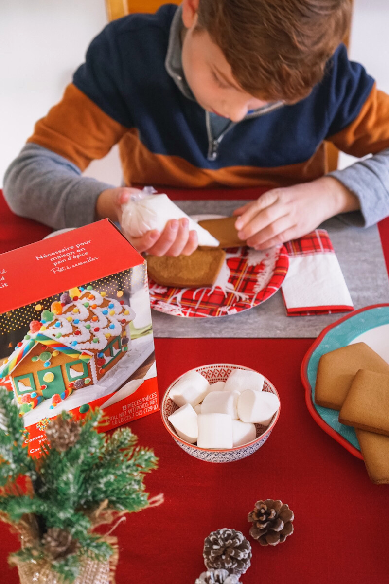 Wilton Gingerbread House Kit