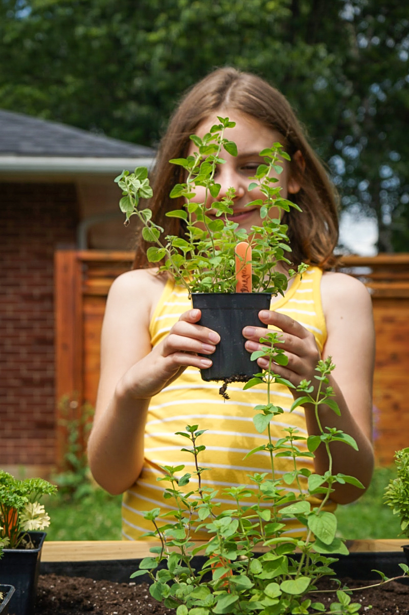 Why Backyard Gardening Is Easy With Raised Garden Bed Planters