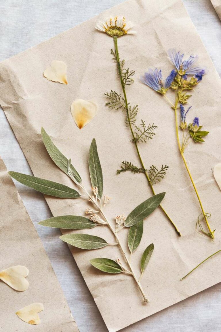 drying wildflowers guide