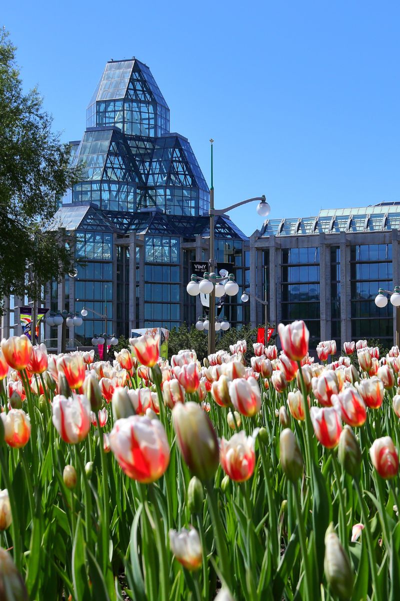 Discover 10 Places to Visit in Ottawa This Spring